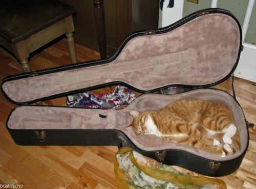 Gitar Çalmayı Öğrenmeniz İçin 6 Gerekçe