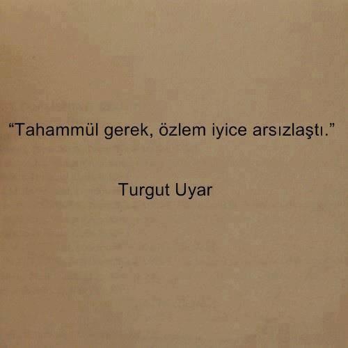 Ve yine sevmek yetmedi.