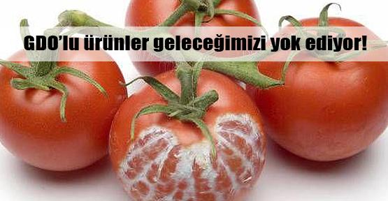 10 Maddede İstanbul...