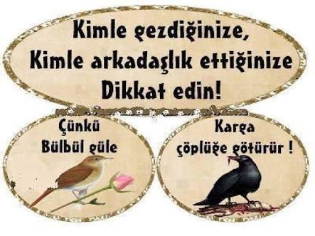 Başarılı Bir Öğrenci Hayatı İçin Tavsiyeler