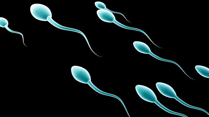 Bir Güzellik Sırrı Olarak "Sperm"