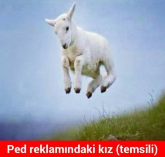 Pedlerle Yapılabilecekler