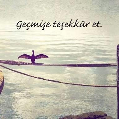 Bir Genç Kızın Sarhoşluk Hikayesi