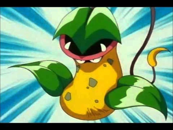 Pokemonları kim bilmez ki 