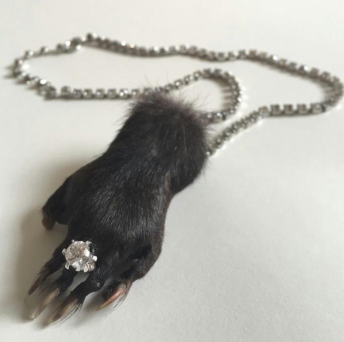 Taxidermy Sanatı