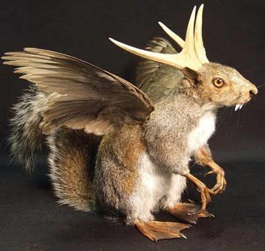 Taxidermy Sanatı