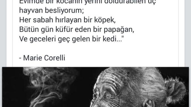 Ya Öğrenin Sevmeyi ya da Bırakın Bu İşleri!