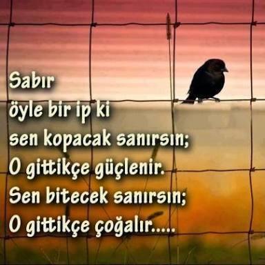 Değişmek Diyorum Aslında O Kadar Da Kötü Bir Şey Değilmiş!