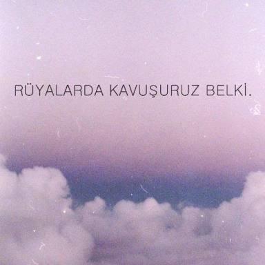 Keşke sende sevseydin.