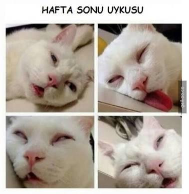 İkizler Burcu Kadınının Özellikleri