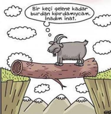 İkizler Burcu Kadınının Özellikleri