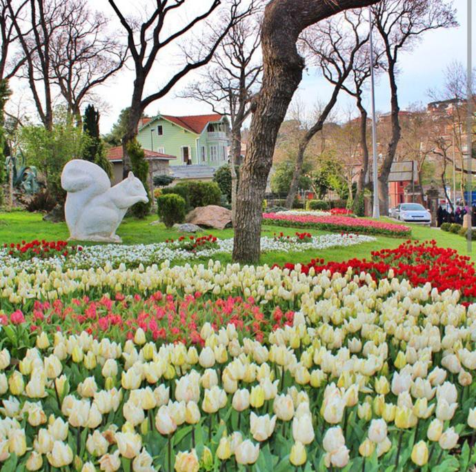 İstanbul'da Sevgiliyle Gezilecek 20 Harika Yer