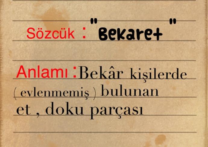 Bekar(-et ), "İlişkiler " ve "Evlilik" Üzerine