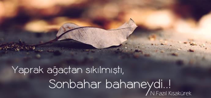 Sonbaharda Başlamıştı Her Şey...