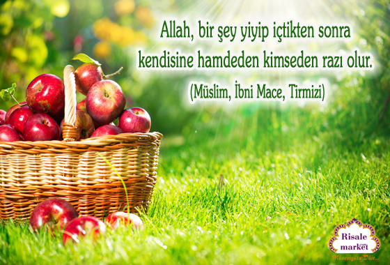 Ben Dünya'yım, Beni Unutunuz!