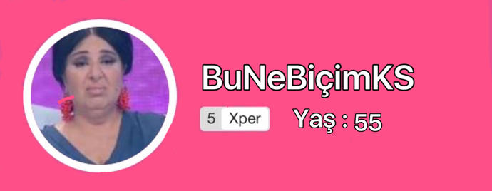 Hızla Büyüyen Kizlarsoruyor. com'da Ünlülerin Devri