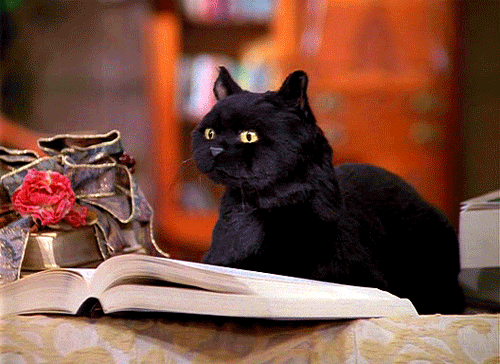 Kitap Okuyanın Derdi Çok Olur