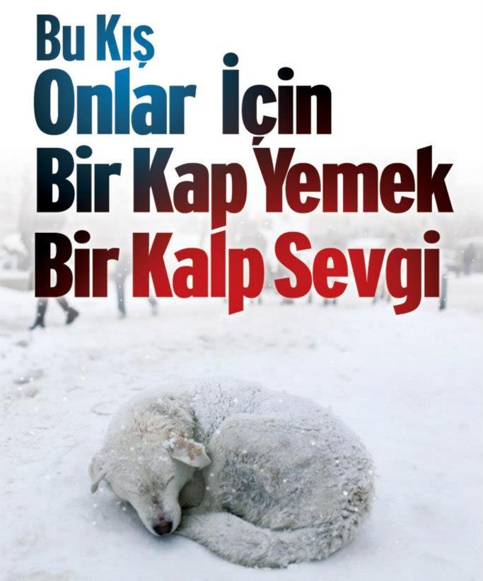 Kış Geliyor: Kapılarımıza Biraz Su Biraz Mama!