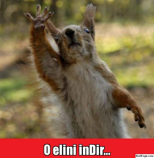 Türklerin Kavga Ederken Kullandıkları Klişe Olmuş Kelimeler