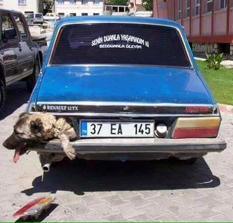 Türk Yaratıcılığına En İyi Örnekler
