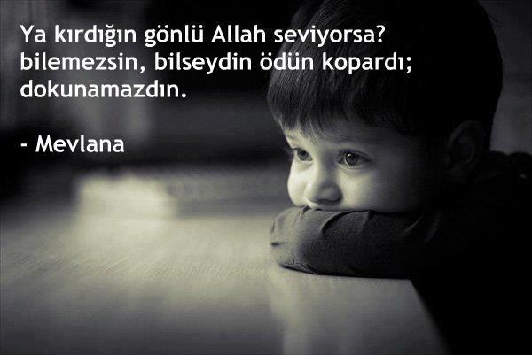 İnsanlıkla ilgili bir kaç şey