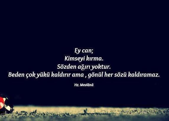 İnsanlıkla İlgili Birkaç Şey!