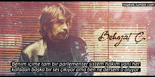 Bir Harbi Adam: Behzat Ç.