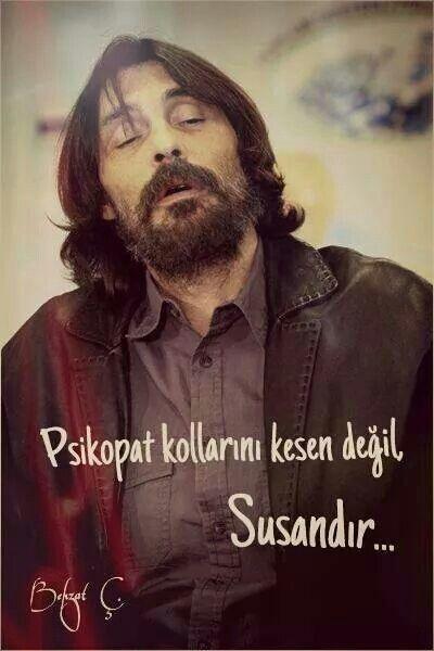 Bir Harbi Adam: Behzat Ç.