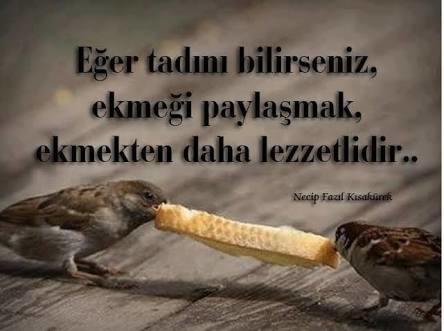Hayat Paylaşınca Güzel