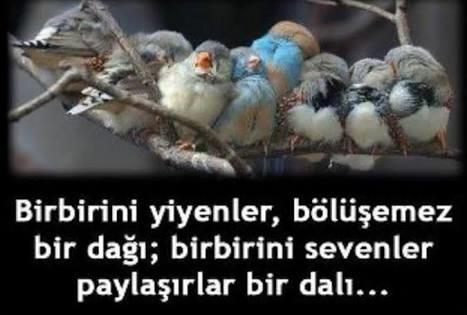 Hayat Paylaşınca Güzel