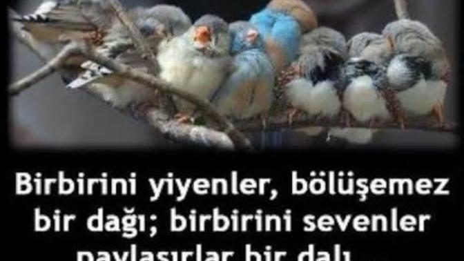 Hayat Paylaşınca Güzel