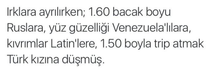 Minyon Bayanlar Hakkında Erkeklerin İç Sesi