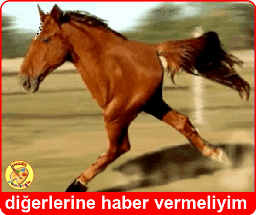 Burger King'in At Sevgisi