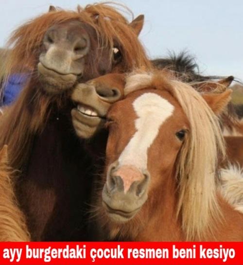 Burger King'in At Sevgisi