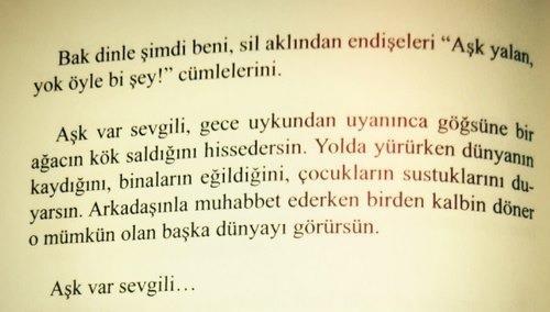 Bana Yaşattığın Tüm Acılar İçin Teşekkürler!