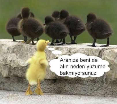 Her Erkek Futbolla İlgilenmek, Her Kadın Alışverişe Bayılmak Zorunda Değil!