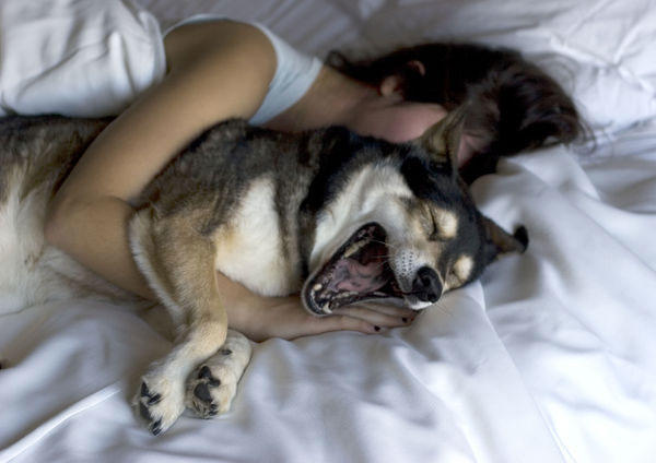 Kadınların ve Köpeklerin 10 Ortak Özelliği