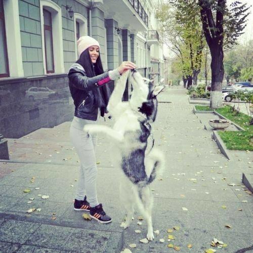 Kadınların ve Köpeklerin 10 Ortak Özelliği