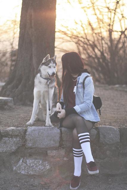 Kadınların ve Köpeklerin 10 Ortak Özelliği