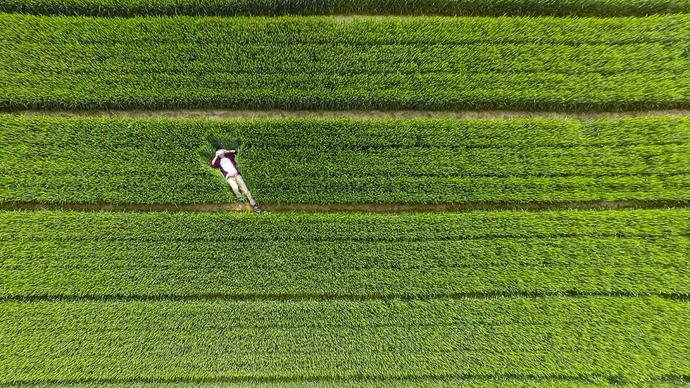 Drone ile Çekilmiş Mükemmel Fotoğraflar.