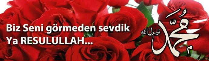 Mevlit Kandiliniz Mübarek Olsun