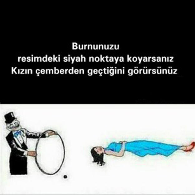 Noel Babanın Geyiklerine Taş Çıkartan 10 Yılbaşı Geyiği