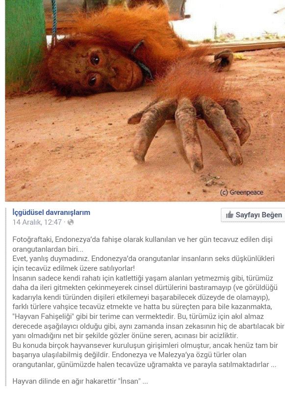 Sevmek Zorunda Değilsin Ama Eziyet Etme! Mini Bir Sanal Albüm