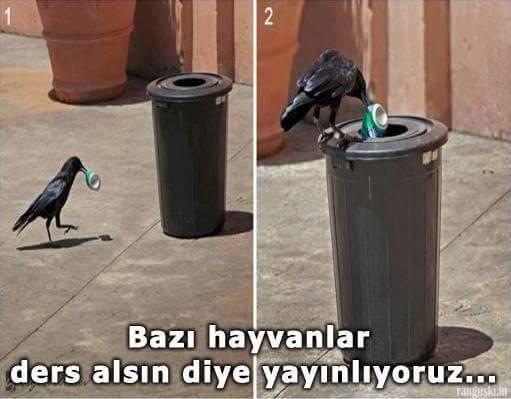 Sevmek Zorunda Değilsin Ama Eziyet Etme! Mini Bir Sanal Albüm