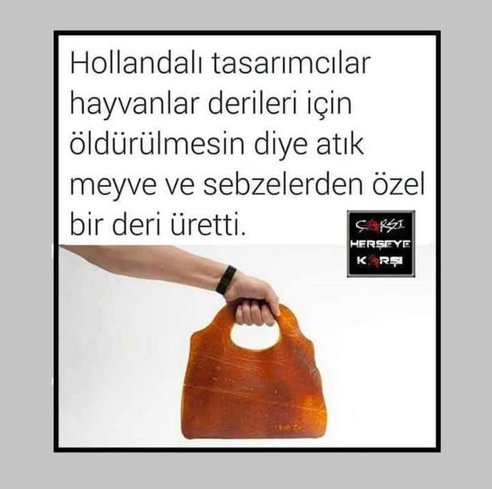 Sevmek Zorunda Değilsin Ama Eziyet Etme! Mini Bir Sanal Albüm