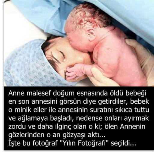 Anne Her Şeydir!