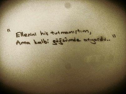 Bir _Delikanli_ 'dan Sevdiği Arıyı Kovana Çekme Yolları