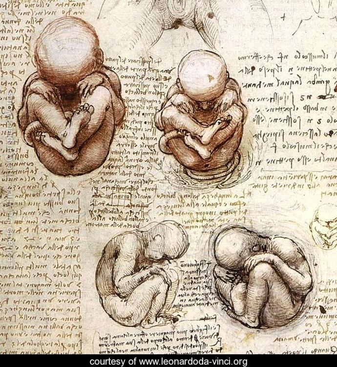 Bir Manyak Adam Leonardo Da Vinci