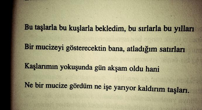 Gidenlerin Kalanları