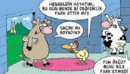 Kızları Kendinizden Soğutmayın Beyler!